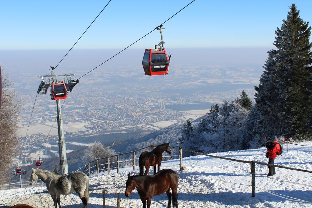 Bolfenk B6 Lägenhet Hočko Pohorje Exteriör bild